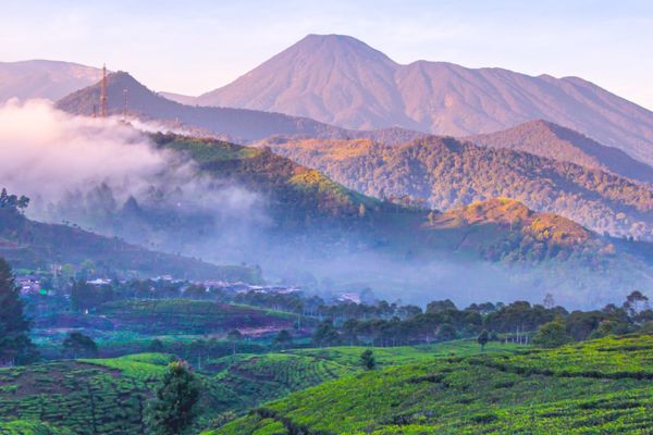 Bogor
